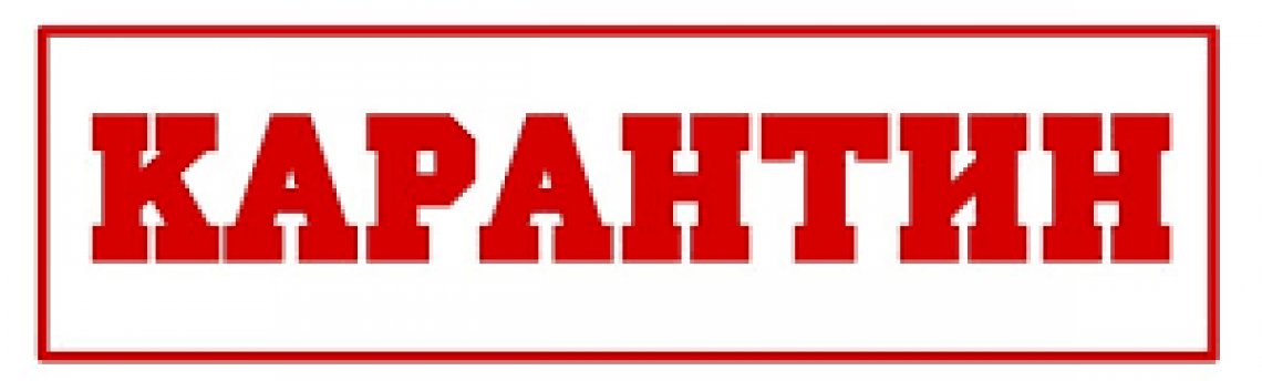 В условиях карантина!